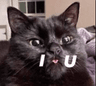 ILU