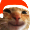 chribmascat