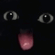 BLELELE