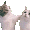 KissAHomie