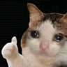 emoji_333