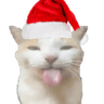 Christmas2022_BLEHHHHH_Cat