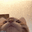 lickcat