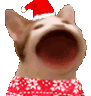 christmas_cat_pop