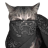 catbandana