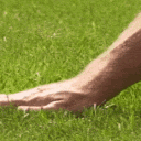 touchgrass