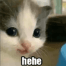 emoji_294
