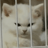 emoji_274