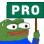 pro