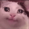 CattoCri