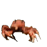 crab