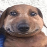 emoji_300