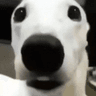 emoji_301