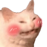 kitty_blush
