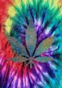 trip2