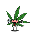 smokecord