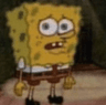 spongewhat