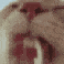 MA_Milk