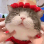 SCmimiscratch