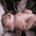 SCsleeping
