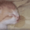 sleeping