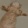 ded