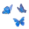 1_bluebutterflies