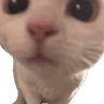 pls