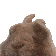 dancebunnyvibemin