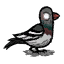 Dont_Starve_Pigeon