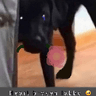 emoji_53