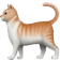 catwalk