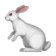 bunniwalk