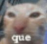 3_cato_que