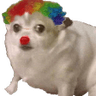 dogeclown