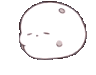 bloblob