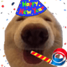 doggieparty