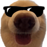 doggieswag
