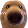 doggieblush