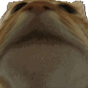 tc_nod
