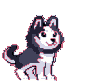 Bark