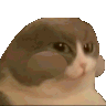 chew