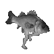run