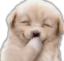 woof