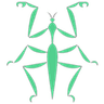 prayingmantisgreen
