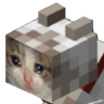 sad_minecraft_cat25