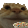 cerealcat