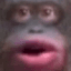 monkeyapeohhh