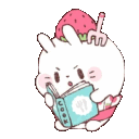 SweetBunnyReading