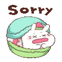 SweetBunnySorry